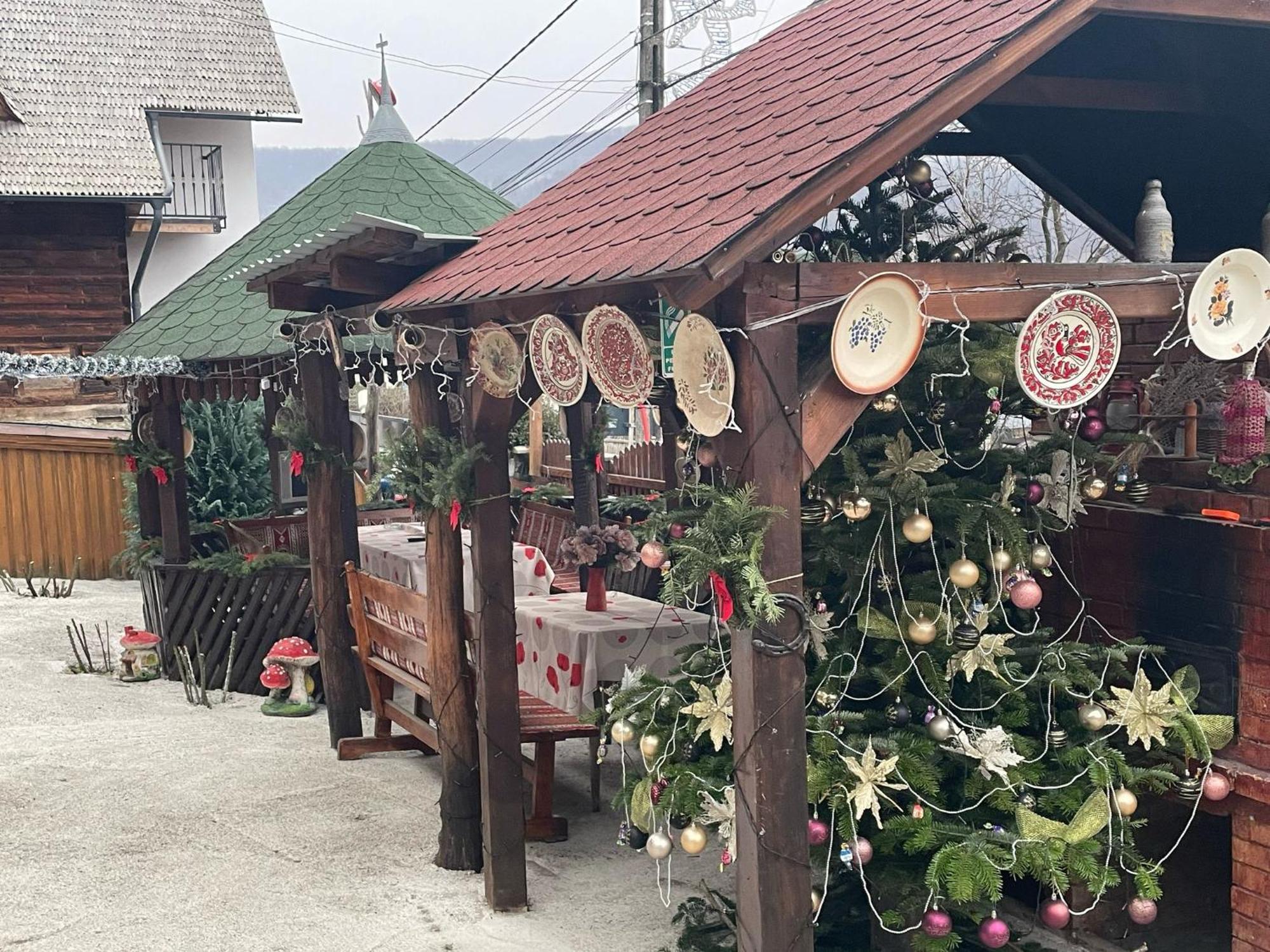 Casa Ionela Petreus Hotell Poienile Izei Exteriör bild