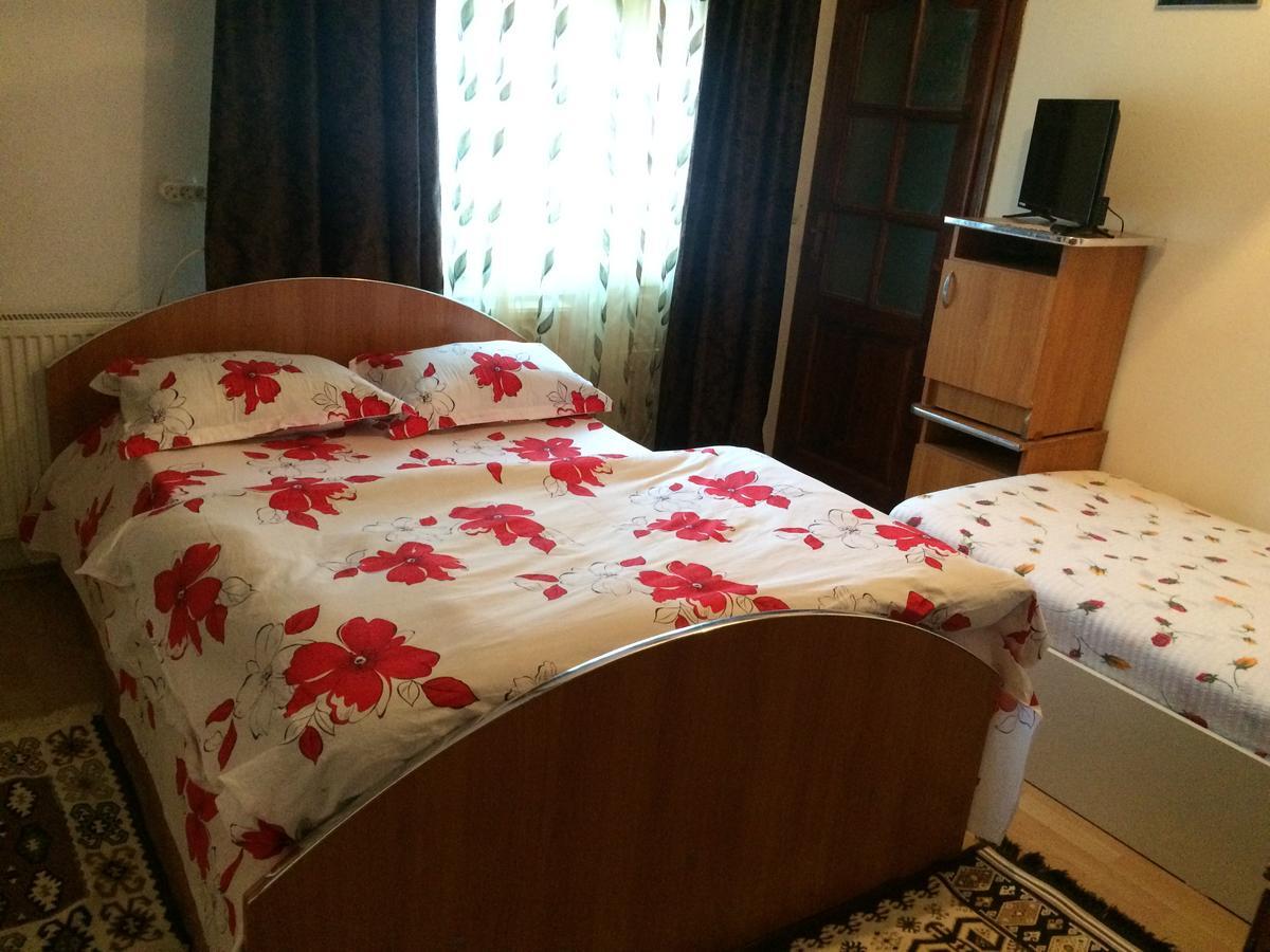 Casa Ionela Petreus Hotell Poienile Izei Exteriör bild